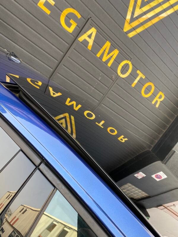 VOLKSWAGEN POLO R LINE