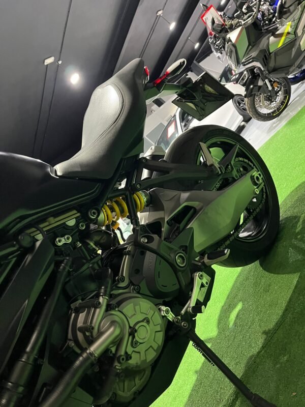 DUCATI MONSTER 821 CARNET A2 LIMITADA